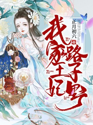 我家王妃路子野