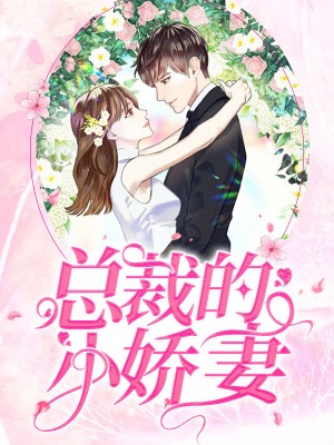 总裁的小娇妻